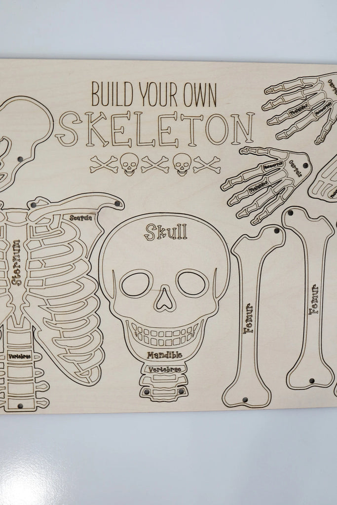 Build Your Own Skeleton Kit