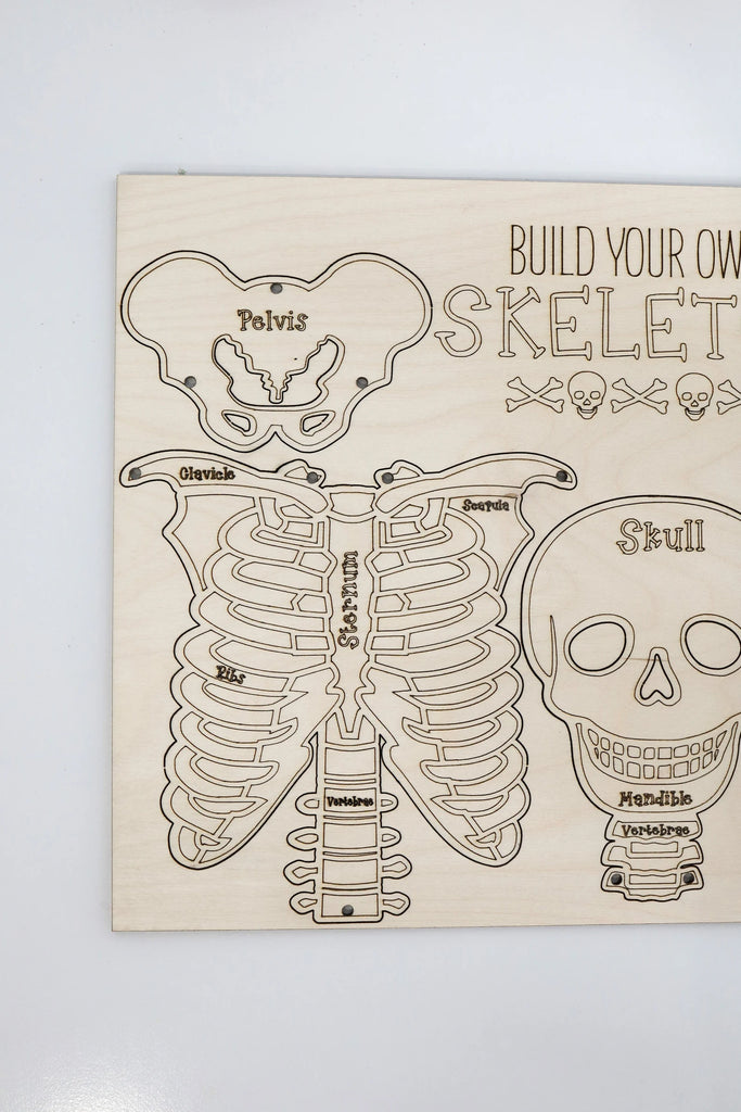 Build Your Own Skeleton Kit – MarinWood Craft Co