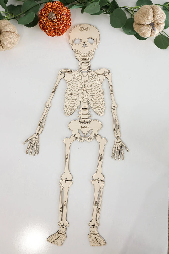 Build Your Own Skeleton Kit