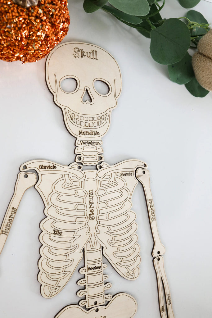 Build Your Own Skeleton Kit