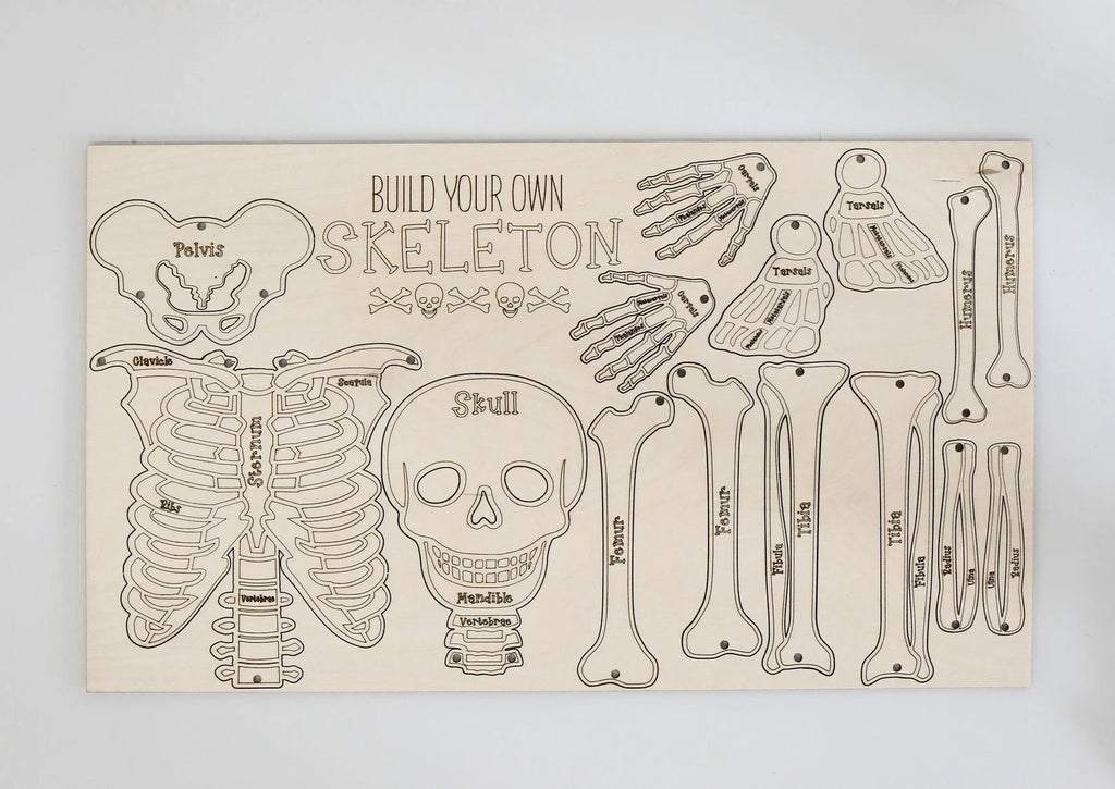 Build Your Own Skeleton Kit