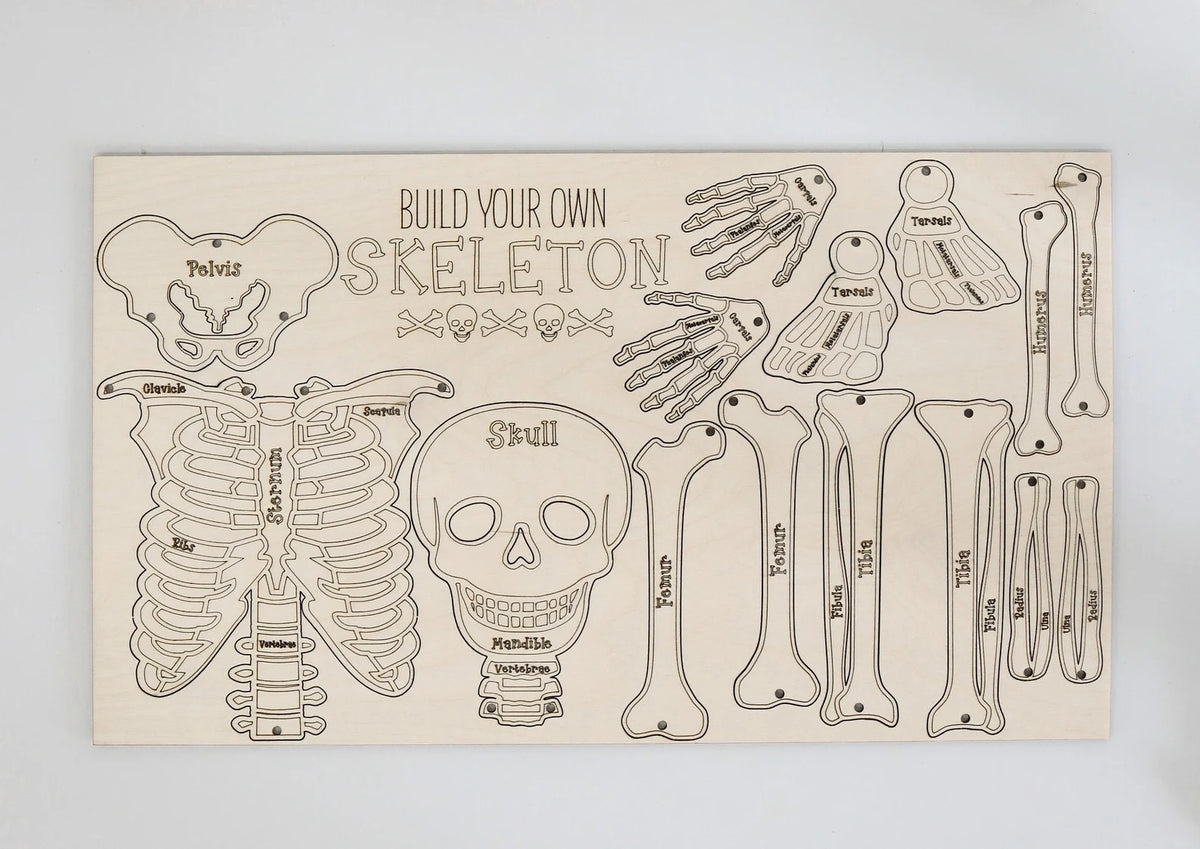 Build Your Own Skeleton Kit – MarinWood Craft Co