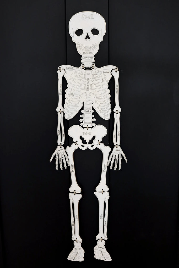 Build Your Own Skeleton Kit